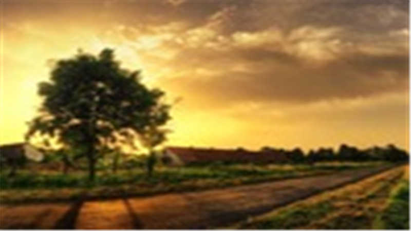 IM101416P 德国NADELLA导轨滑块 供应美国NTN-BCA轴承